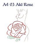 DL A4 03 Akt Rose