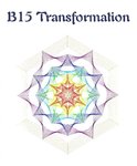 DL B15 Tranformation