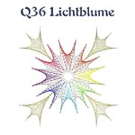 DL Q36 Lichtblume