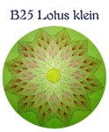 DL B25 Lotus klein