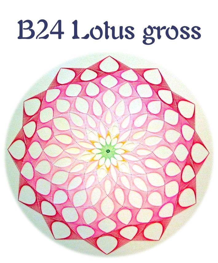 DL B24 Lotus gross