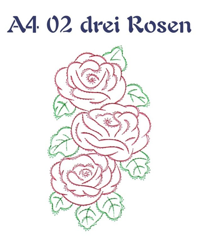DV A4 02 drei Rosen
