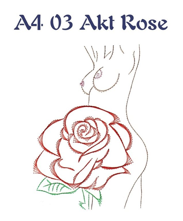 DV A4 03 Akt Rose