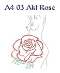 DV A4 03 Akt Rose