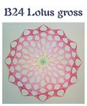 DV B24 Lotus gross