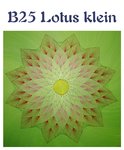 DV B25 Lotus klein