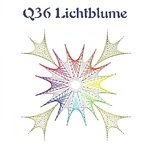 DV Q36 Lichtblume