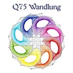 DV Q75 Wandlung
