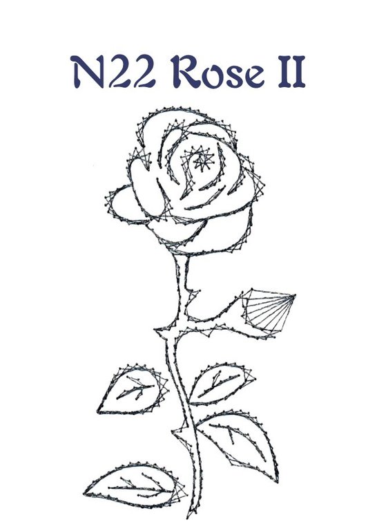 DV N22 Rose II