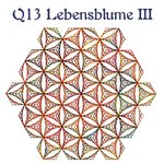 DV Q013 Lebensblume III