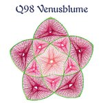 DL Q098 Venusblume